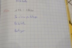 20240611-brassy-218
