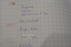20240611-brassy-219