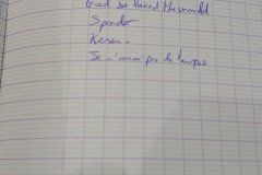 20240611-brassy-220